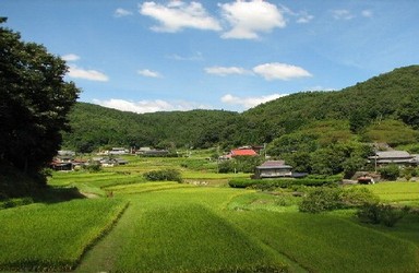 写真:緑豊かな農山村の風景