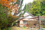 松平-17