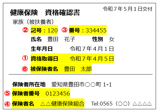 保険証　見本