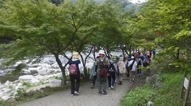 令和5年度　ウォーキング　新緑の中を歩く参加者