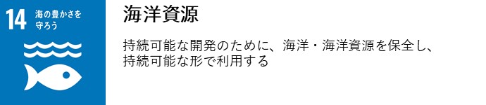 海洋資源　持続可能な開発のために、海洋・海洋資源を保全し、持続可能な形で利用する