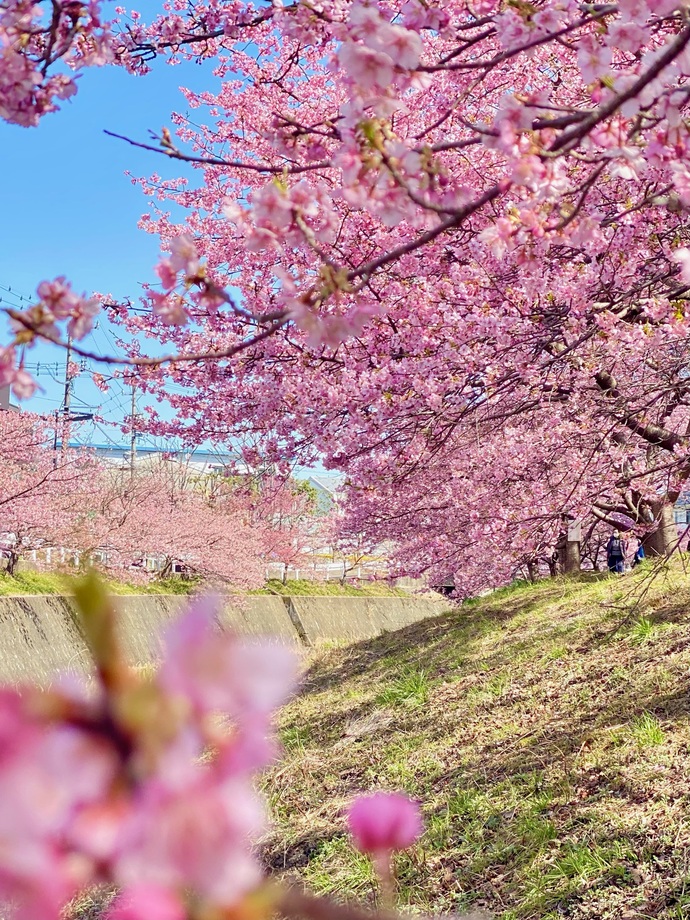 Instagram 3月