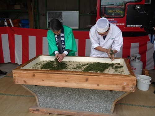 新茶の茶摘みと手もみ体験　4月22日（月曜日）