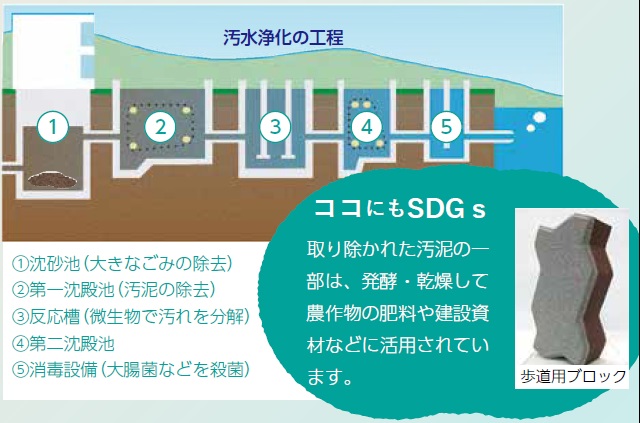 汚水浄化の工程（1）沈砂池（大きなごみの除去）（2）第一沈殿池（汚泥の除去）（3）反応槽（微生物で汚れを分解）（4）第二沈殿池（5）消毒設備（大腸菌などを殺菌）