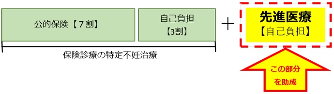 対象費用　先進医療に要した費用の一部を補助