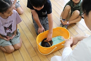 モルモットを触る子どもたち