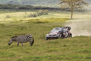 シマウマとラリーカー