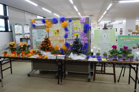 昨年の展示の様子