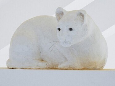 愛称が決定した土蔵の猫2