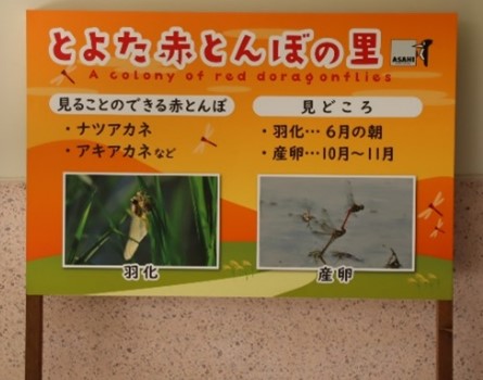 設置する看板