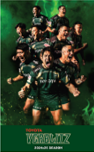 限定ステッカーデザイン