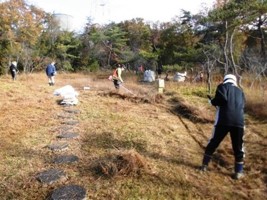 草刈りの様子